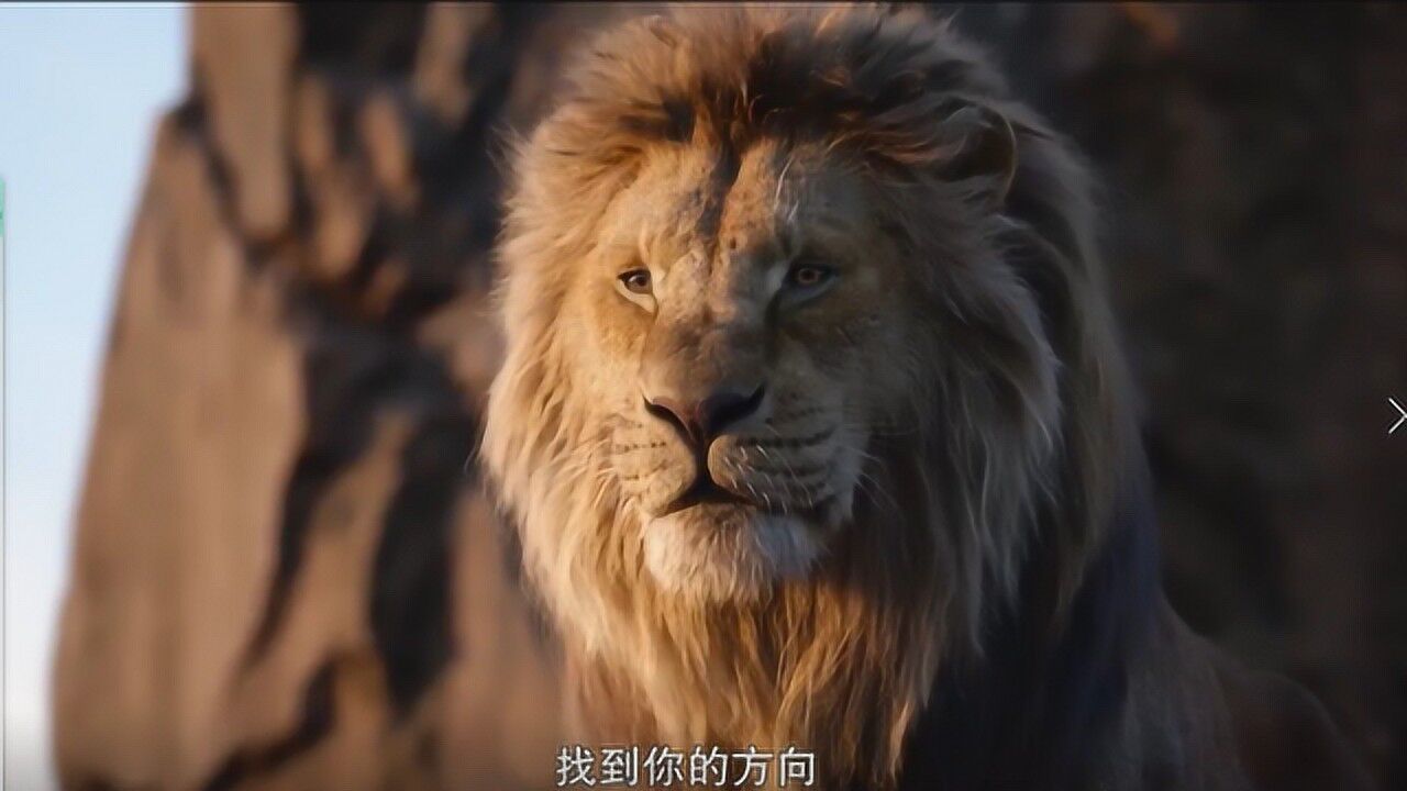 《狮子王》高清版值得每一个人看的奥斯卡影片_高清
