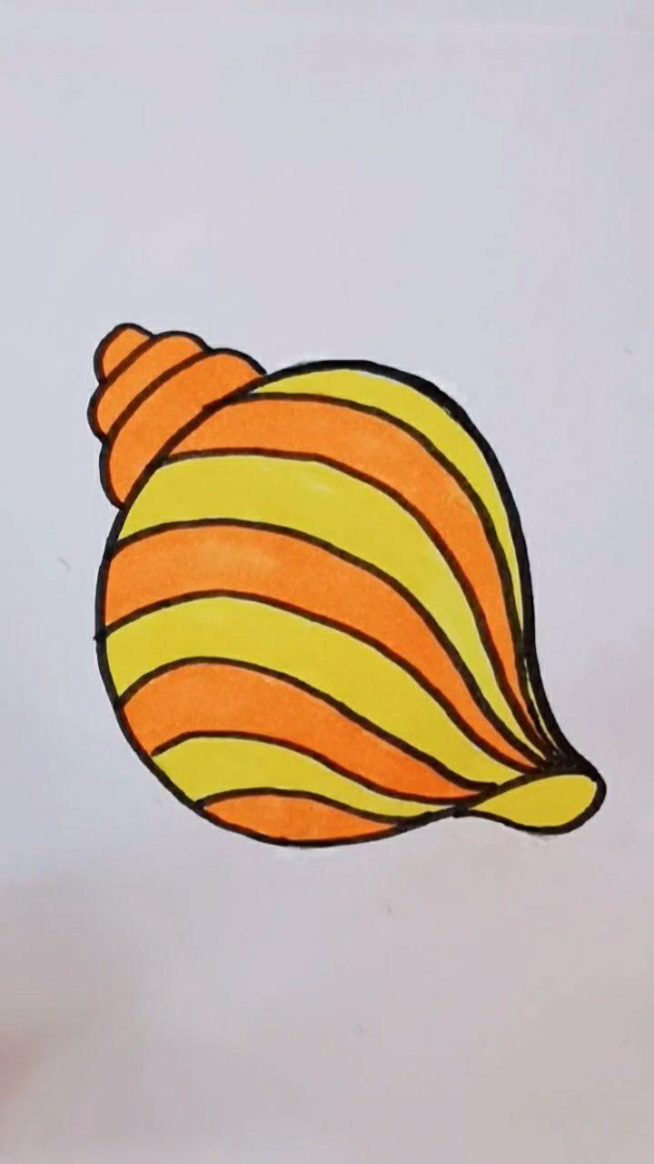 海螺怎么画简笔画步骤图片