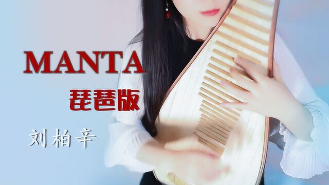 【琵琶版】Manta琵琶弹奏欧美风