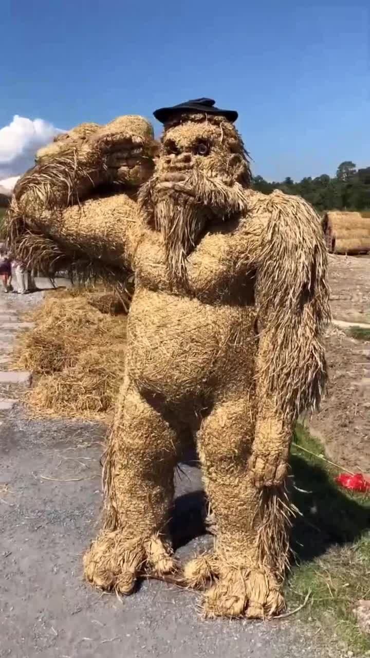 农村一道独特风景,用稻草做成的稻草金刚,网友:高手在民间!