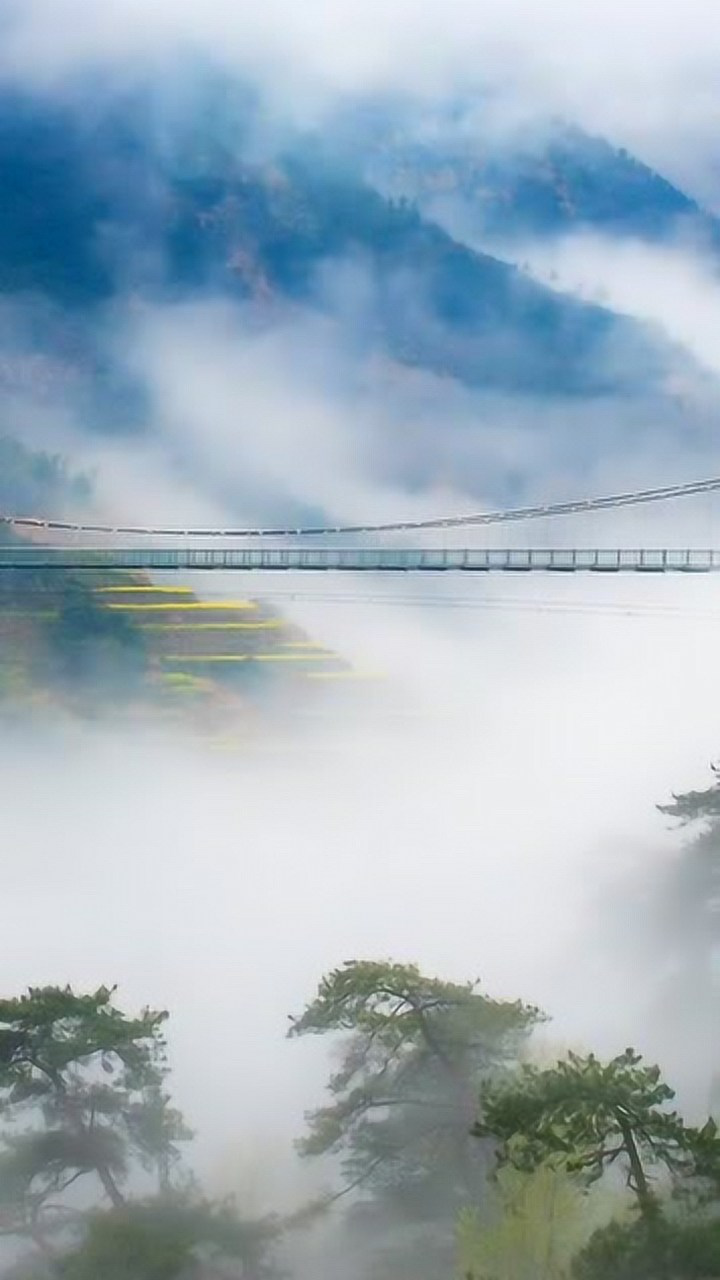 "你站在桥上看风景,看风景的人在楼上看你"