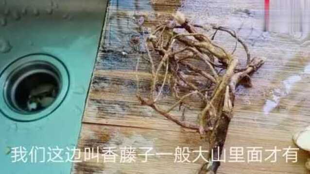 农村大哥招待网友,老鸭炖萝卜加上大山里的香料,满屋漂香