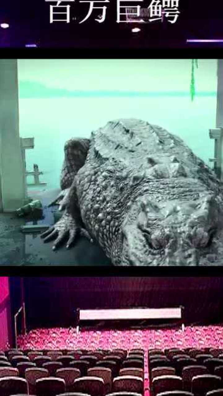 百万巨鳄:八米长的鳄鱼直冲上岸,太吓人了!