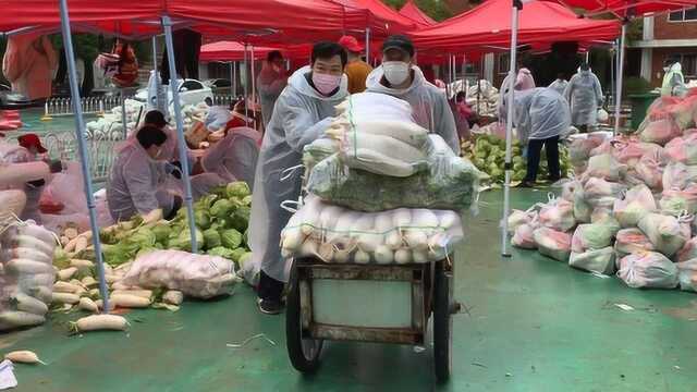 实地探访武汉爱心蔬菜分拣市场 柔术馆长变身“大力水手”扛萝卜!