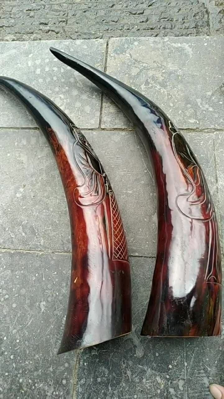 这是古代打仗吹的号角，吹了一下，特别响！_高清1080P在线观看平台_腾讯视频