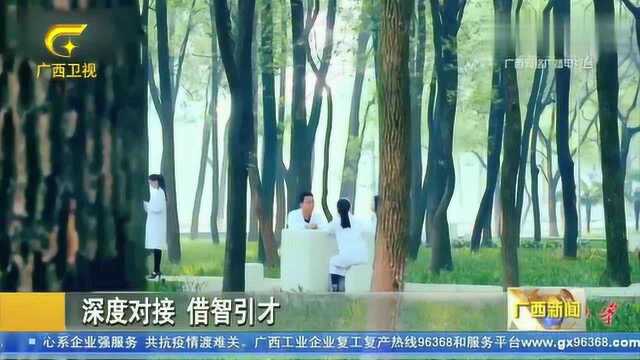 广西:深度对接,借智引才