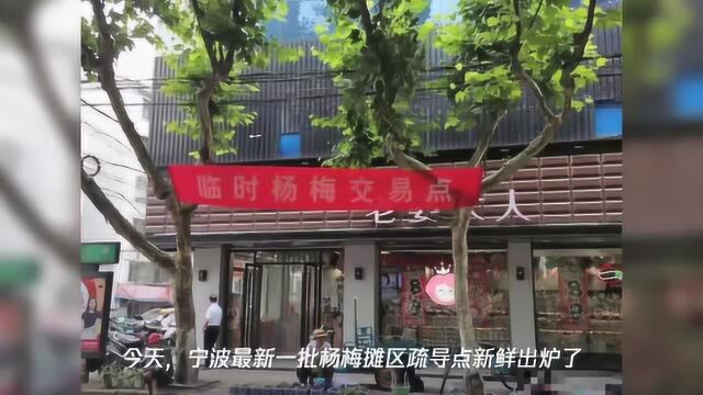 75处2679个摊位!宁波最全杨梅自产自销疏导点来了