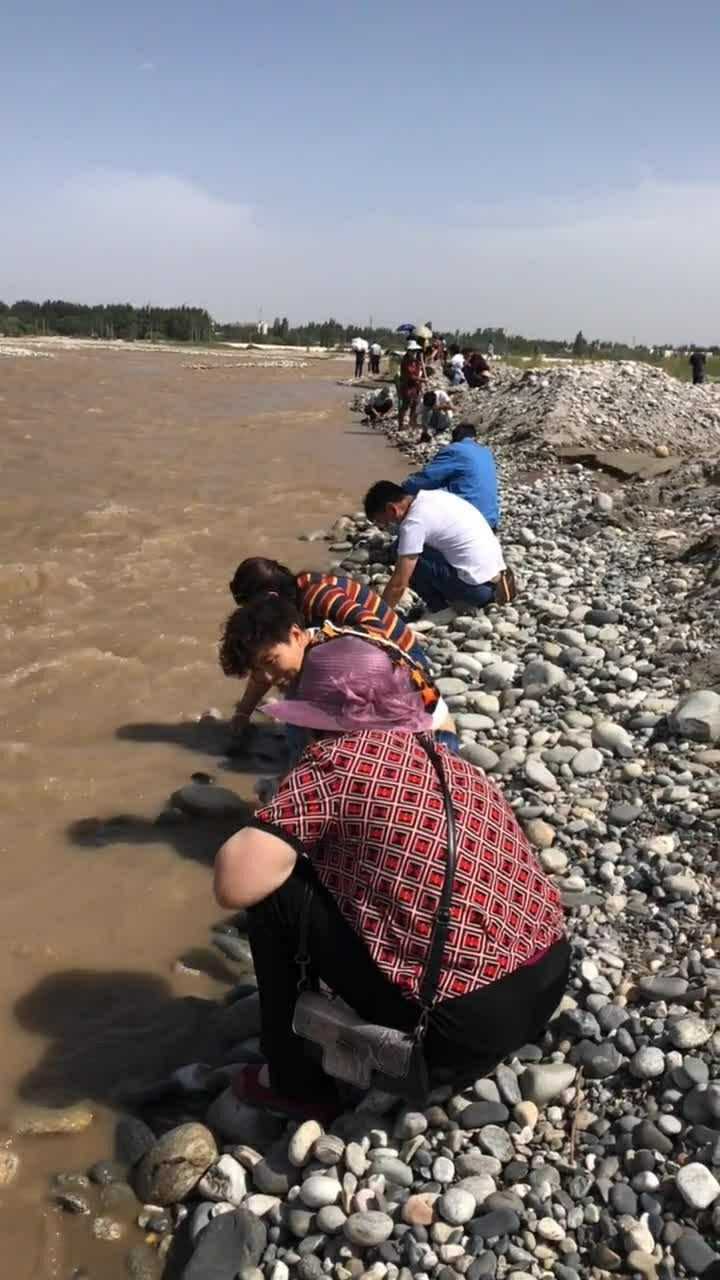 她们正在捡玉石,玉石真的非常的有价值哦!