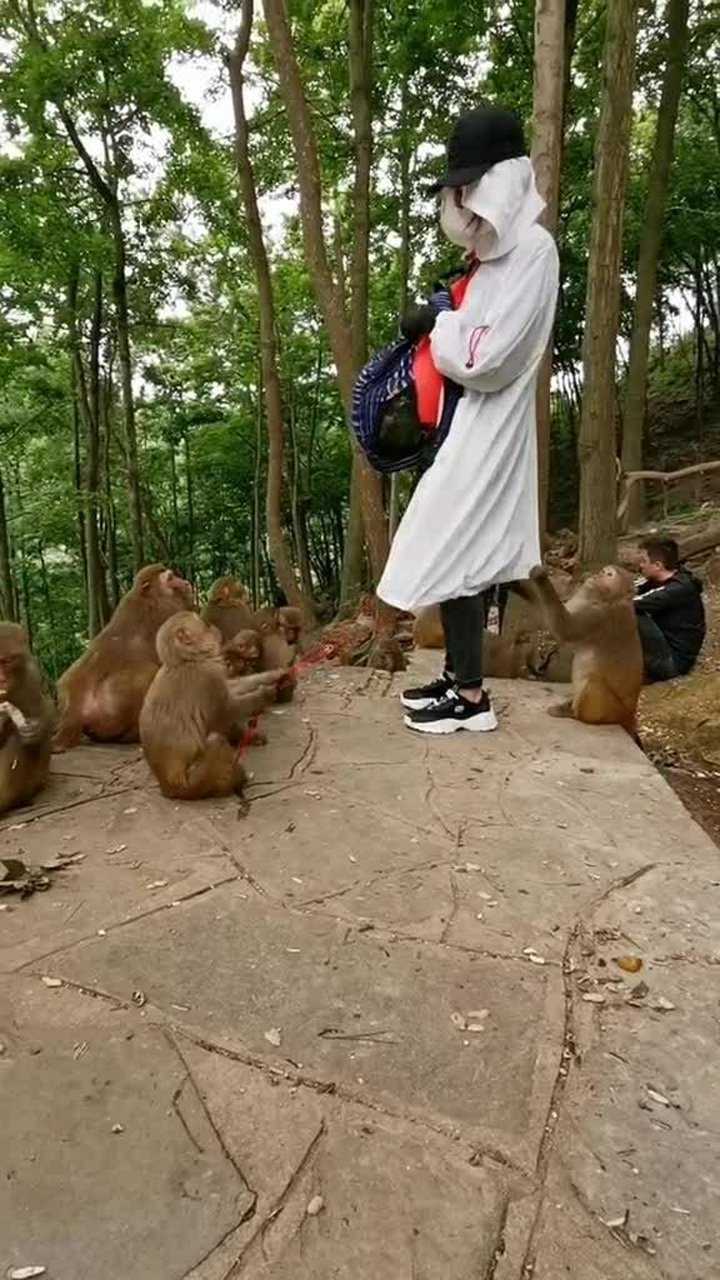 小猴子拽着美女的衣服不让她走了