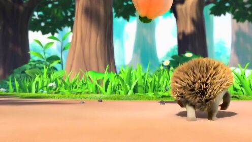 上传者:嘉哥的动物园时 间:2021-03-27今天带你们看迷你刺猬0