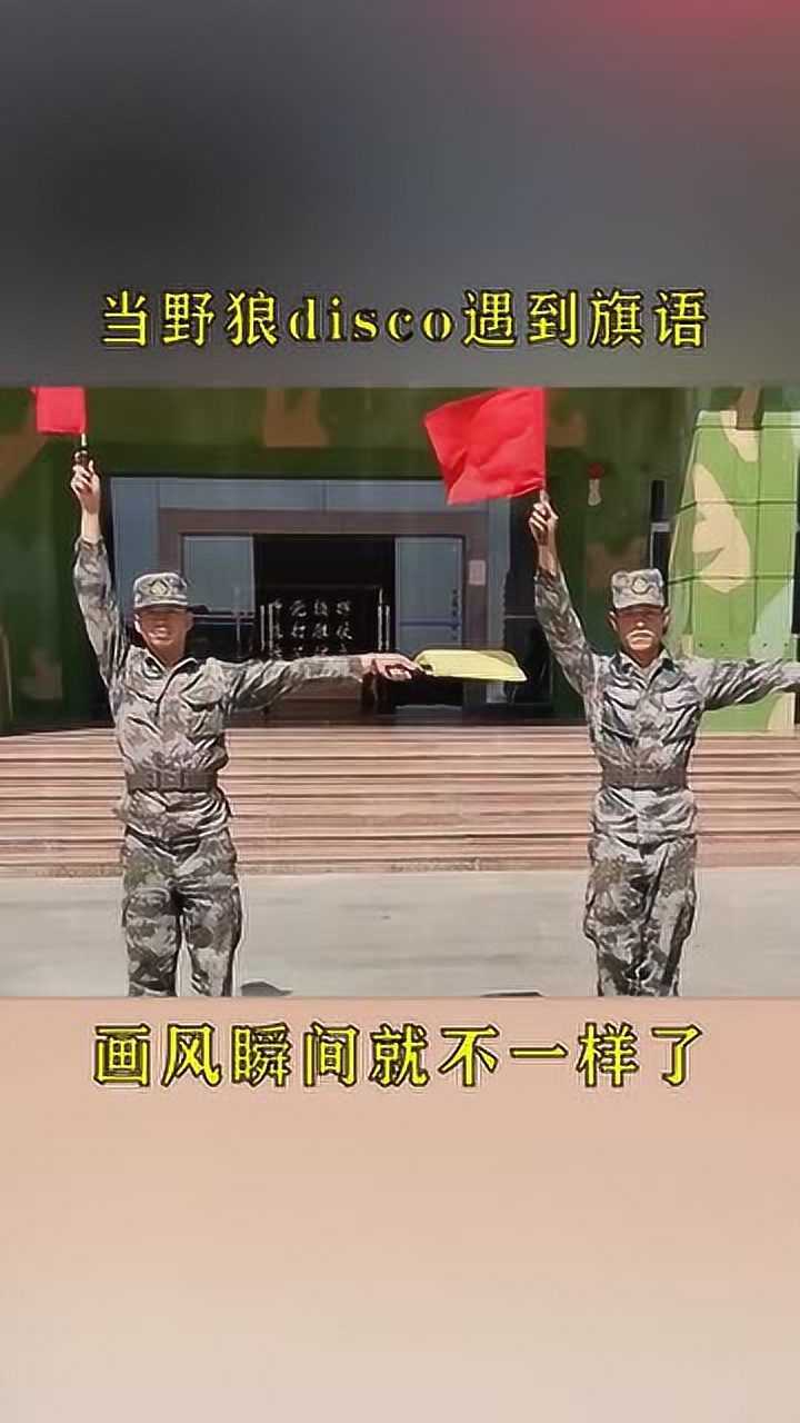 当野狼disco遇到旗语画风瞬间就不一样了