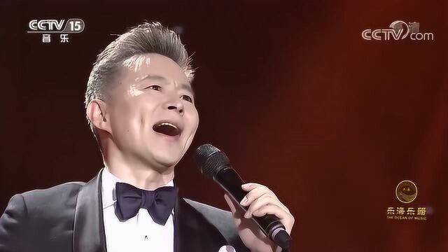 王宏伟演唱《西部放歌》,王宏伟的巅峰之作,至今无人超越!