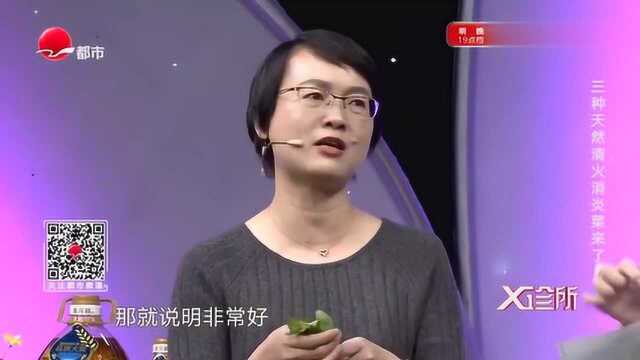 想要“永葆青春”?专家为你推荐养生草,延缓衰老又护肝!