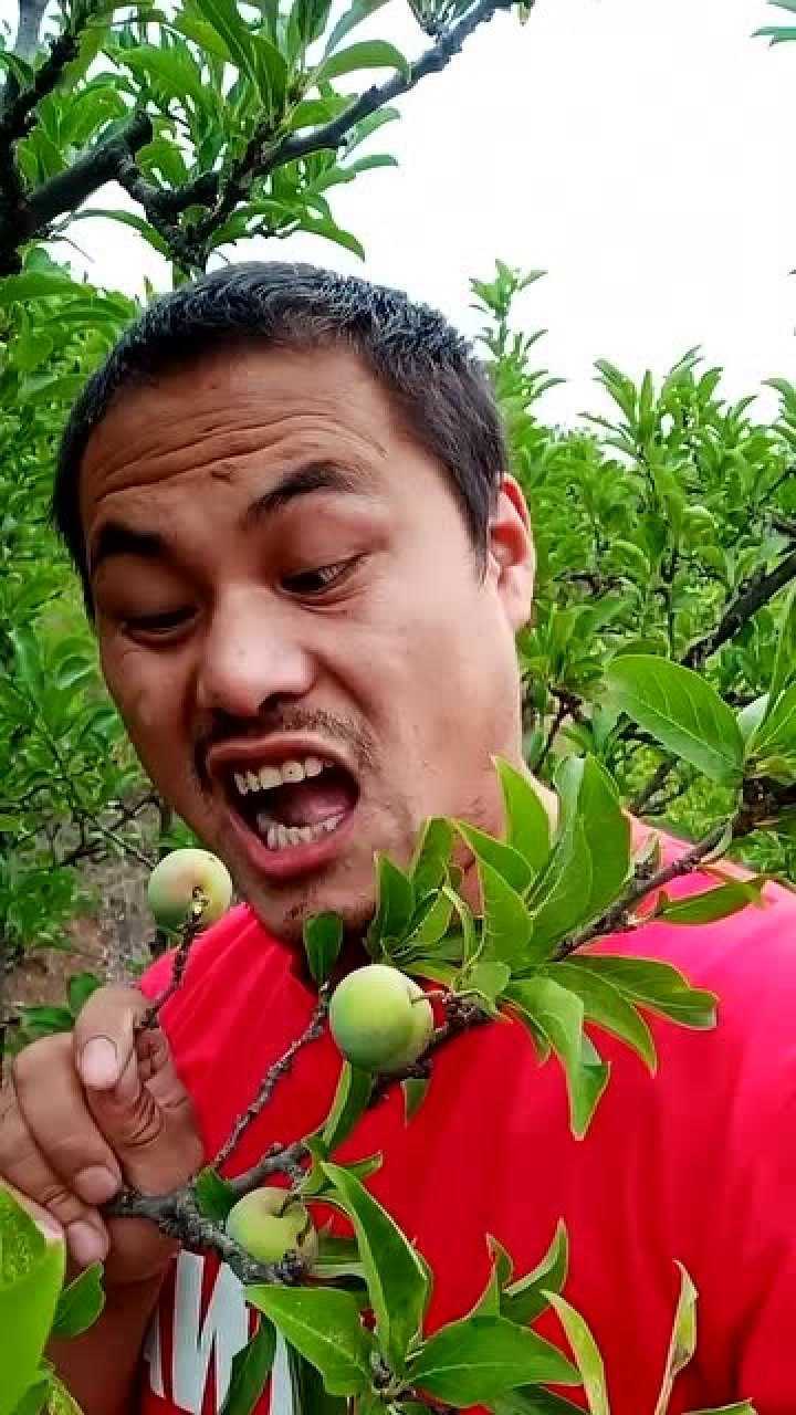 看大叔吃李子,我嘴里却流酸水