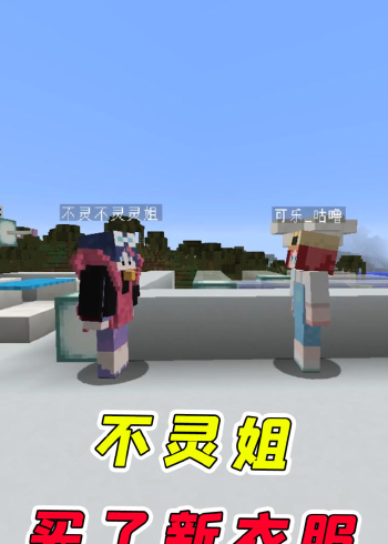 我的世界:不灵姐的身材和脸蛋不如她的新衣服