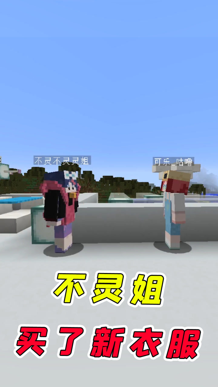 我的世界:不灵姐的身材和脸蛋不如她的新衣服