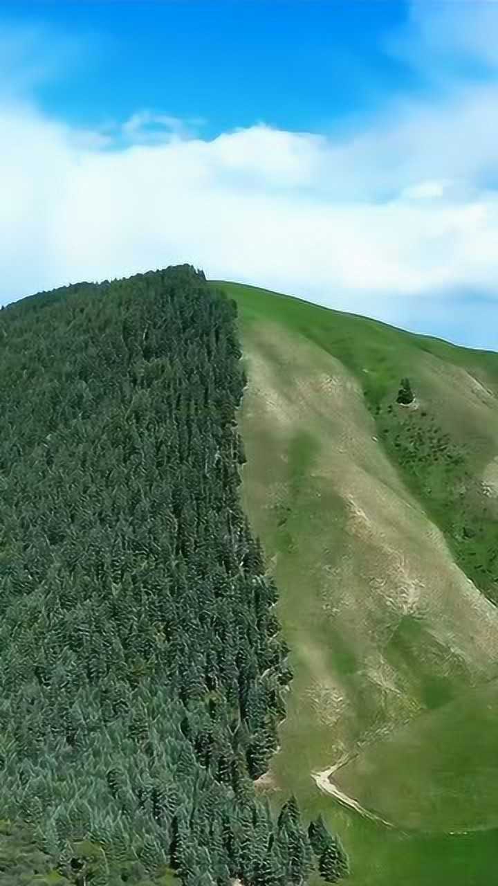 还记得这个阴阳山吗山绿了依然是阳坡不长树阴坡长树绝非人为