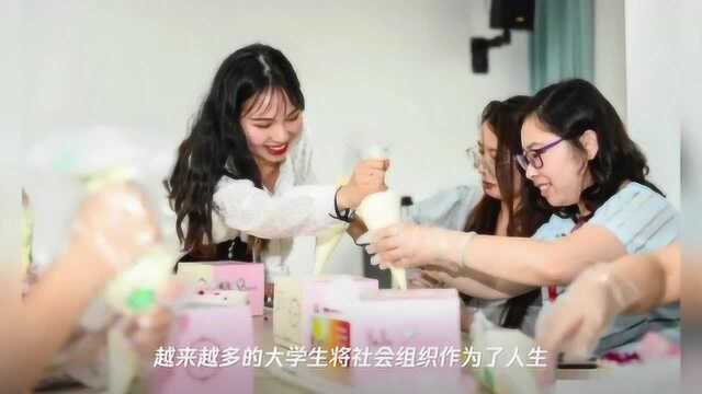 大学生在NGO工作是什么体验?我们采访了三个先行者