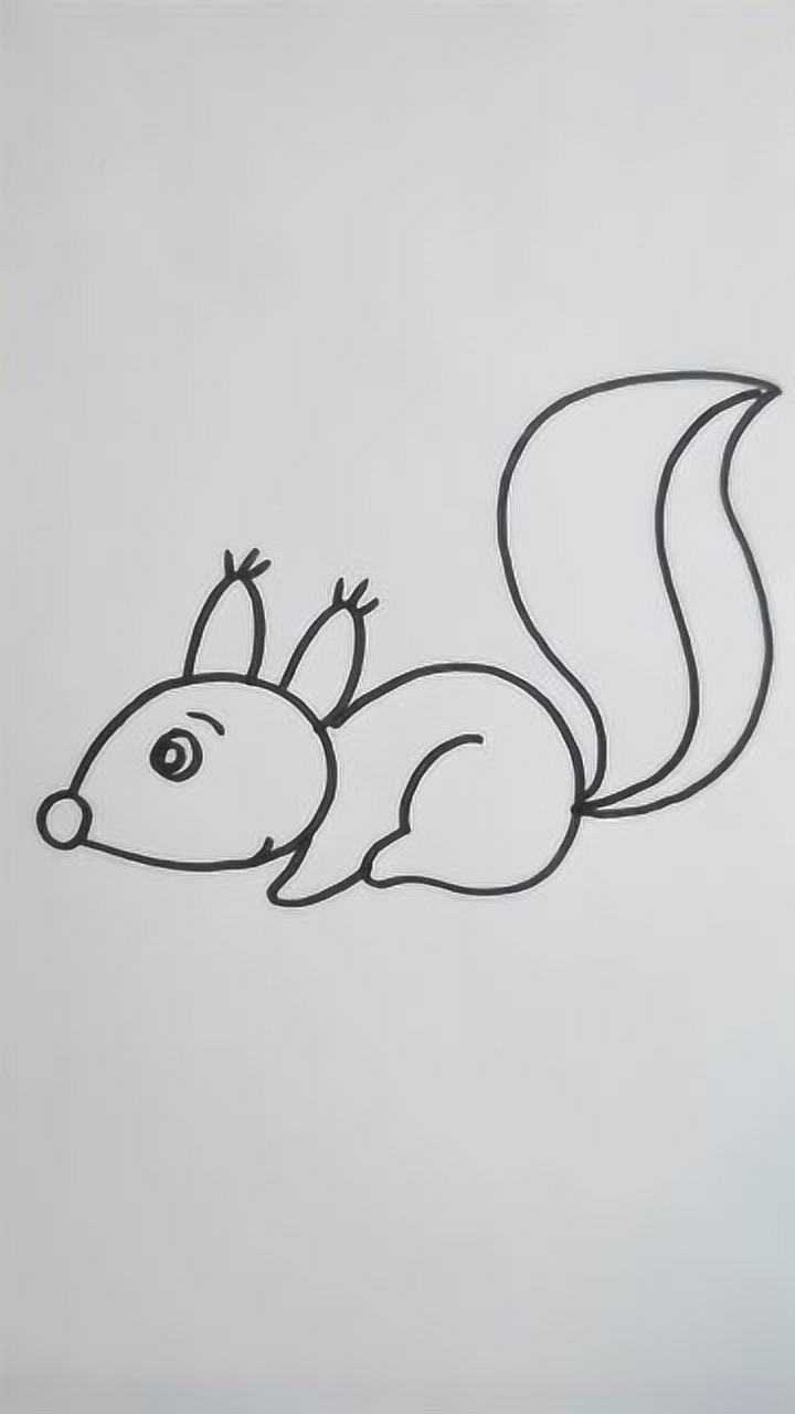 简笔画小松鼠你学会了吗宝妈必备技能赶紧教给宝宝吧