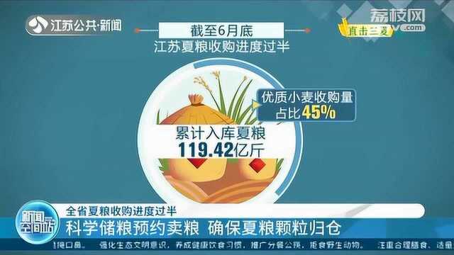 江苏全省夏粮收购进度过半:科学储粮预约卖粮 确保夏粮颗粒归仓