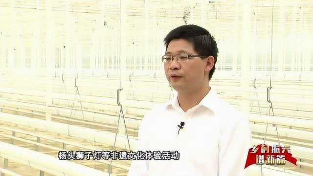 【乡村振兴谱新篇】桐城市委书记徐雄专访