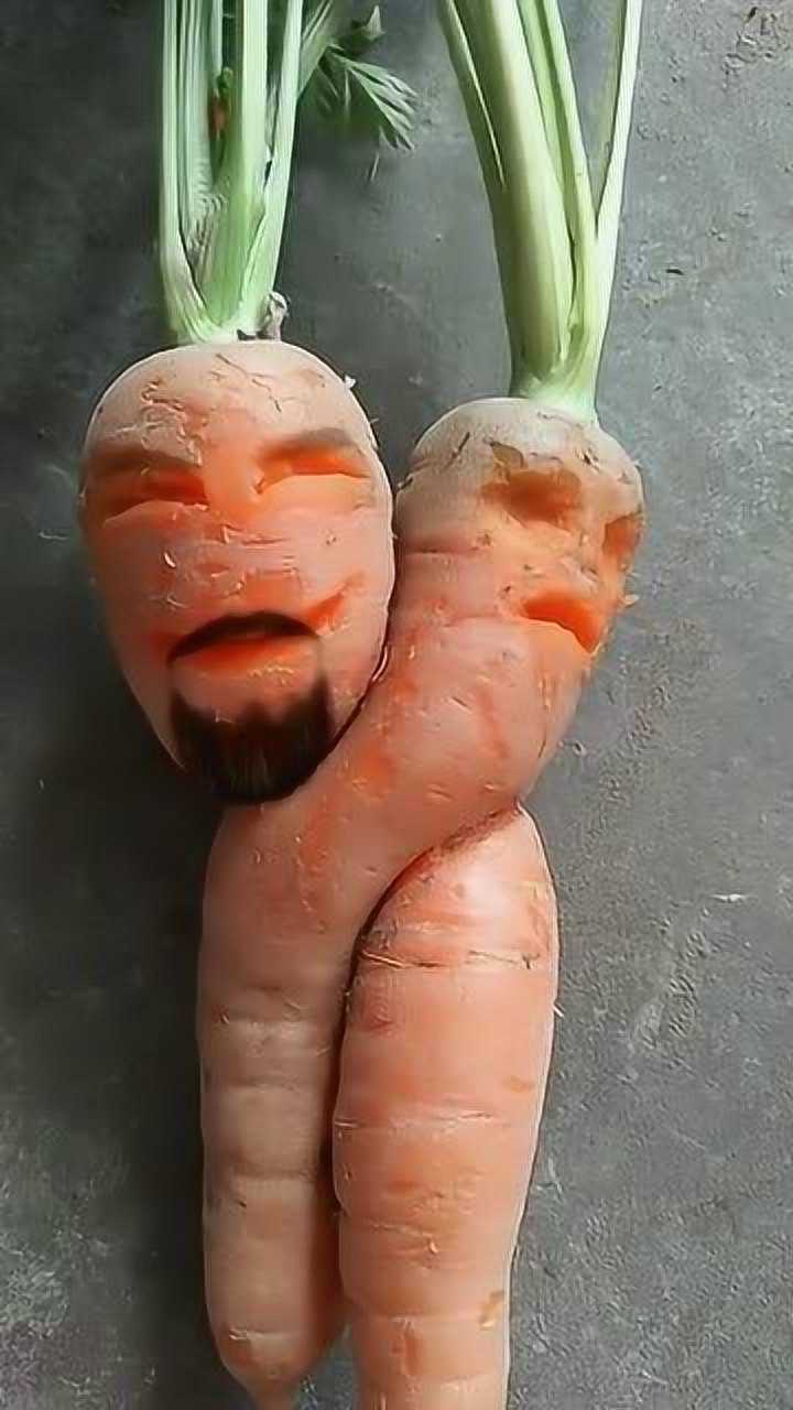 地里的胡萝卜成精了看到两个萝卜的长相我笑了都缠到一起了