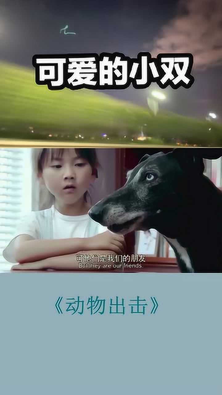 动物出击:布鲁斯劝解动物帮助人类