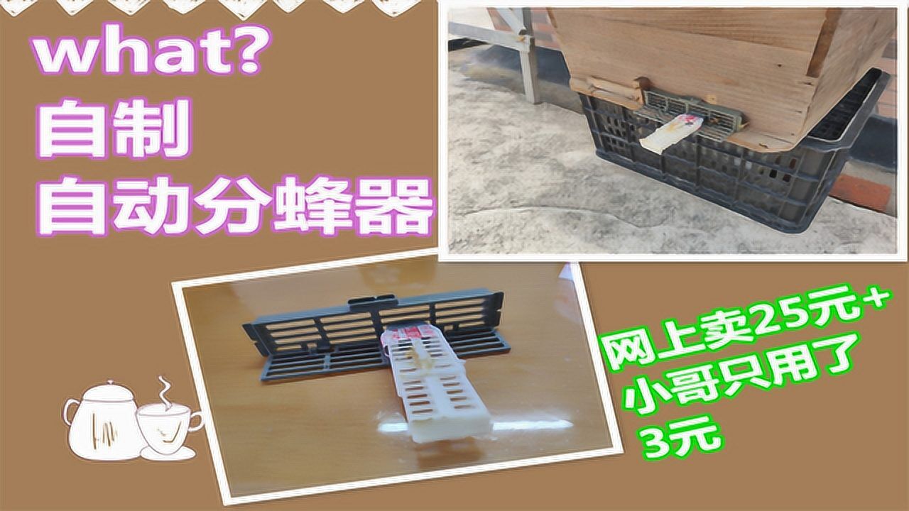 新手养蜂不会分蜂小哥教你制作自动分蜂器简单实用还便宜