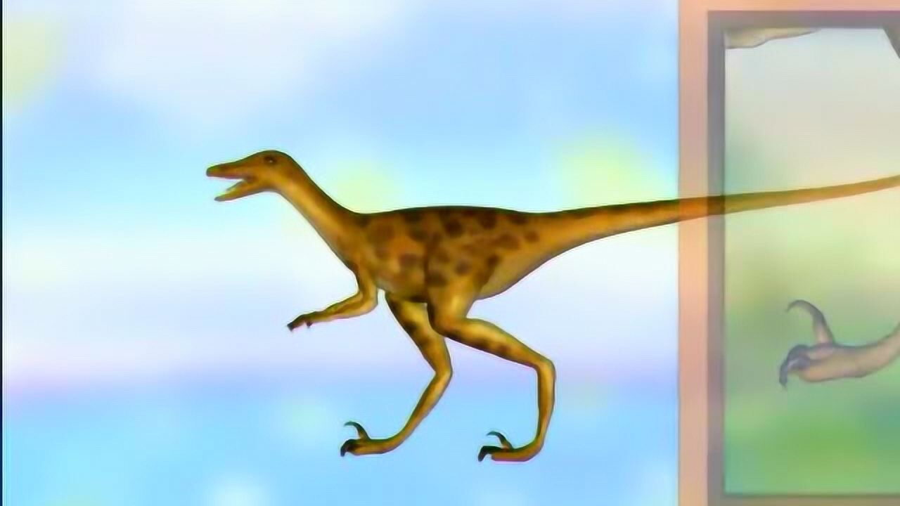 恐龙时代:快盗龙的特征