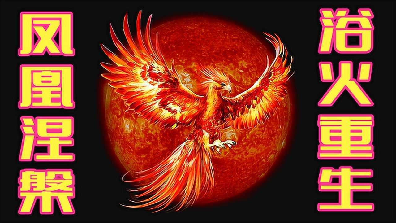 "不死鸟"凤凰涅槃,浴火重生的神话故事!