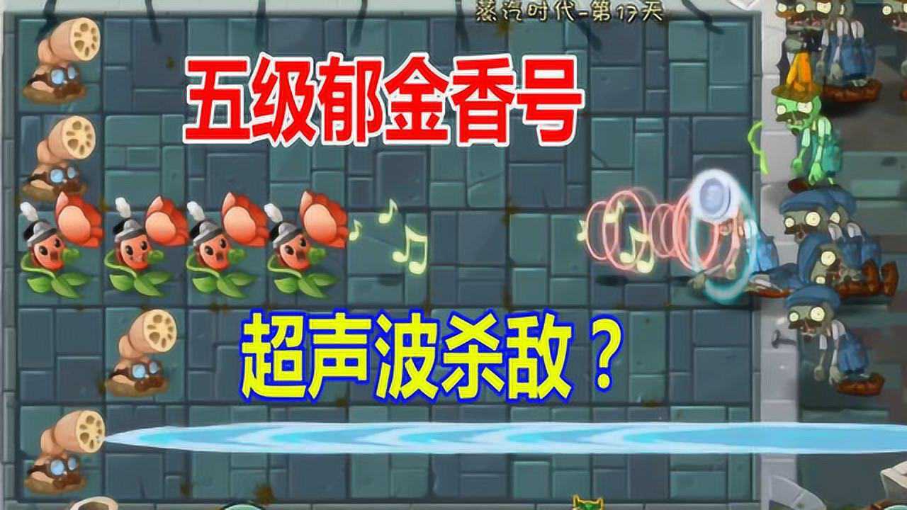 植物大战僵尸2:五级郁金香号手有点作用,一个声音可以群体迷惑僵尸