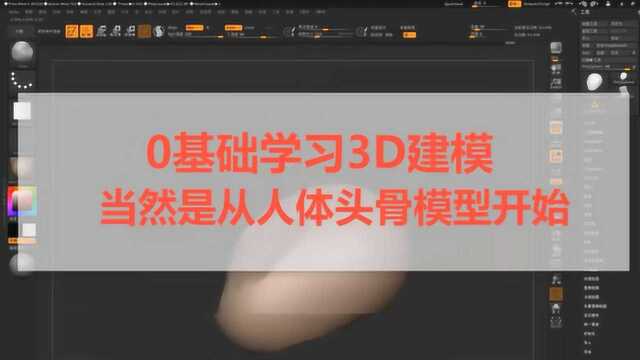 0基础学习3D建模,当然是从人体头骨模型开始!