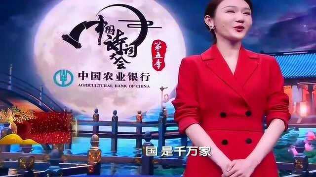 《中国诗词大会》,五周年了,龙洋的主持得心应手!