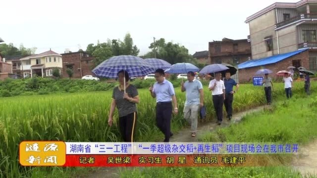 湖南省“三一工程”“一季超级杂交稻+再生稻”项目现场会在我市召开