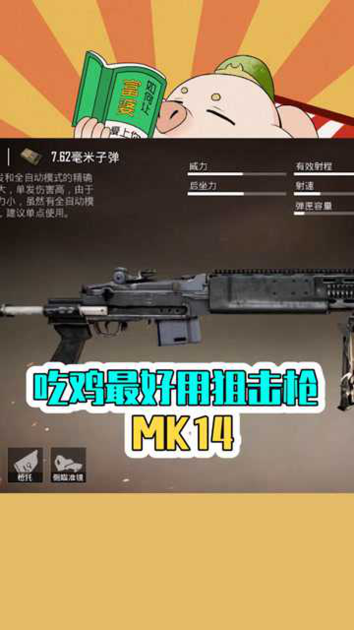 和平精英拿上mini14轻松吃鸡比起自动步枪毫不逊色