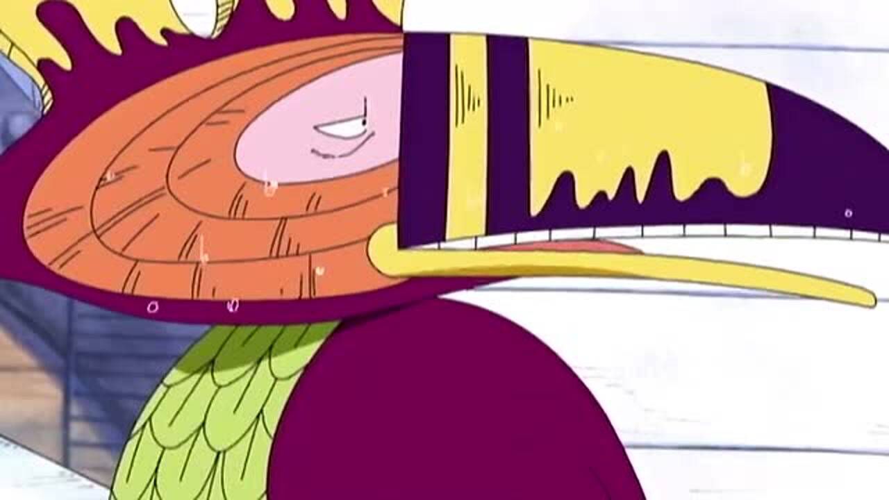 海贼王:南南见鸟太搞笑了,一秒钟不向着南方就难受,强迫症晚期了