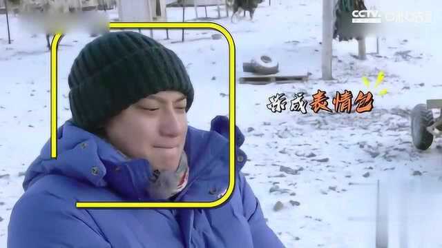 黄子韬嫌雪橇犬臭,拿雪洗手,结果被冻成表情包