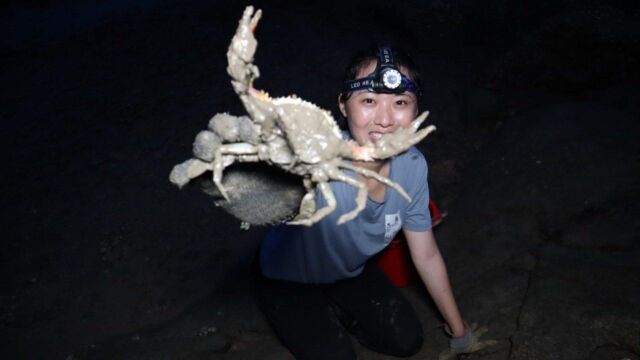 渔妹赶海遇上夜潮,各种海货都跑出来了,简直就是大丰收