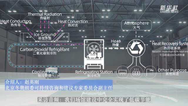 关于冬奥筹备进展 你想知道的都在这里