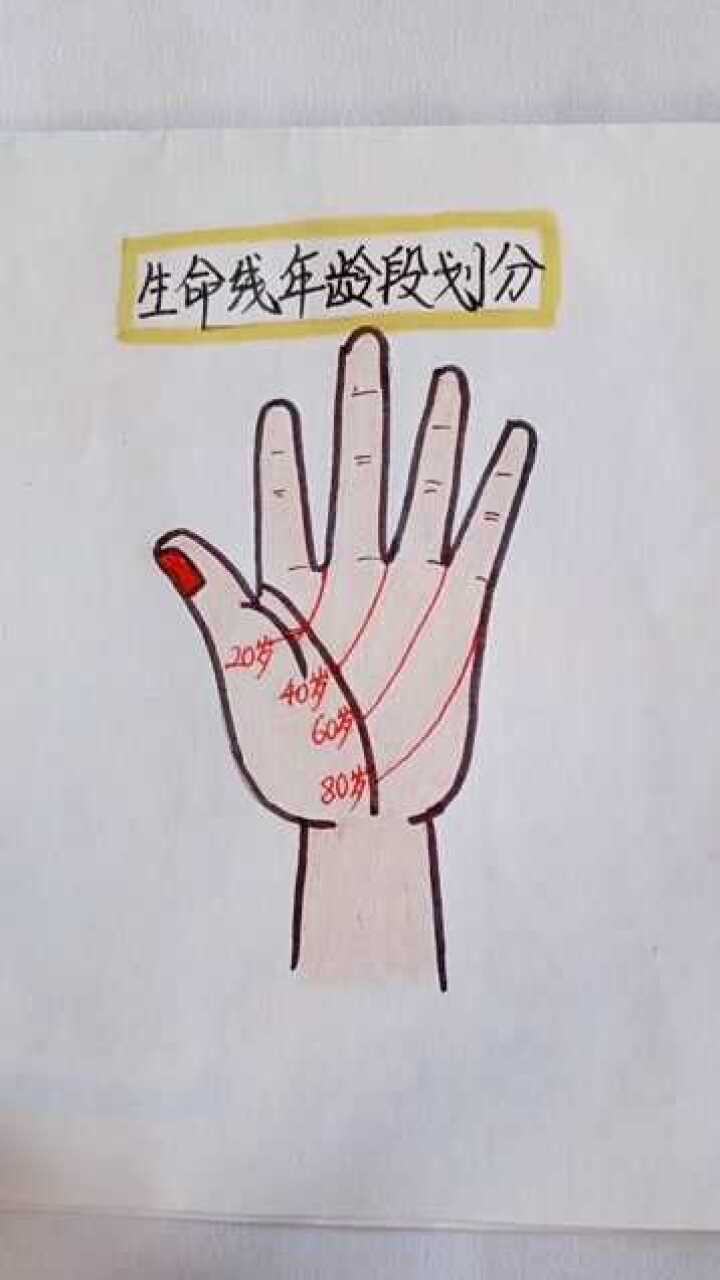 快看过来生命线的年龄划分