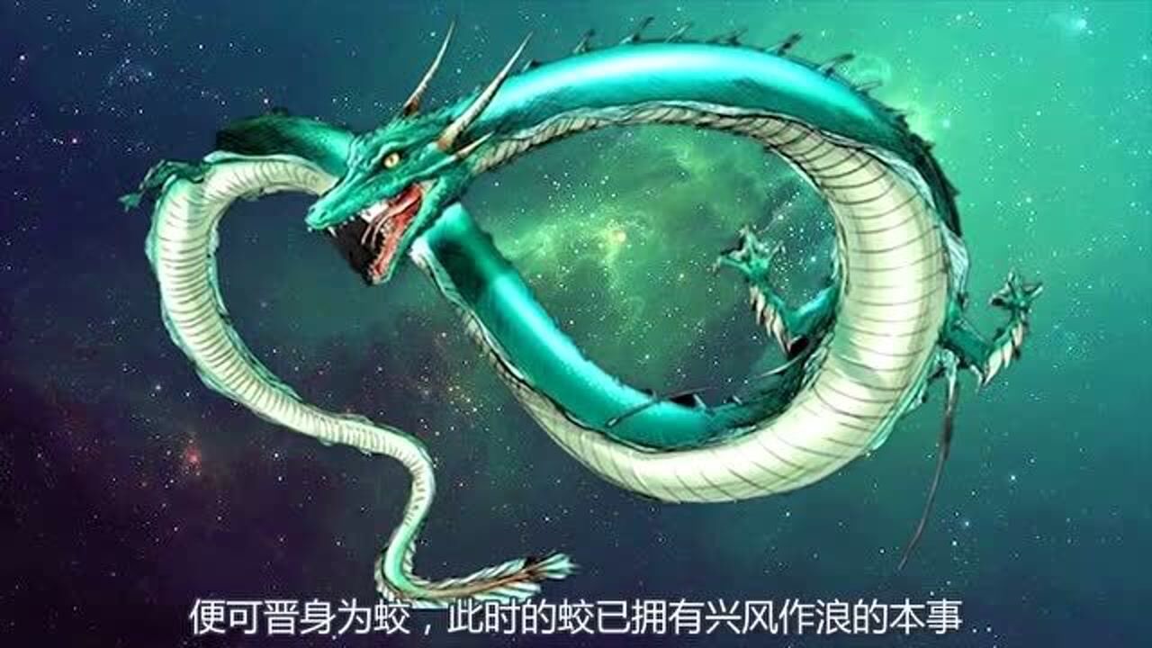 蛇如何进化成为龙