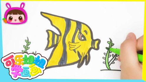 海洋世界-天使鱼 跟可乐姐姐一起学画画