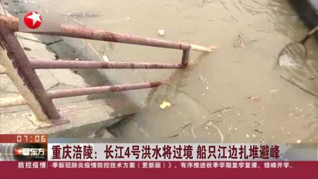 重庆涪陵:长江4号洪水将过境 船只江边扎堆避峰