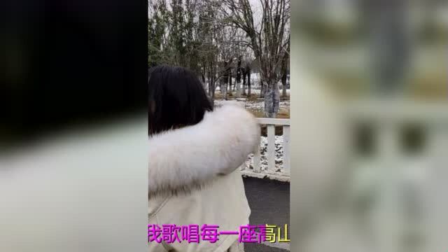 中国经典老歌500首《我和我的祖国》