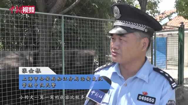 上海公安举办流浪犬领养活动