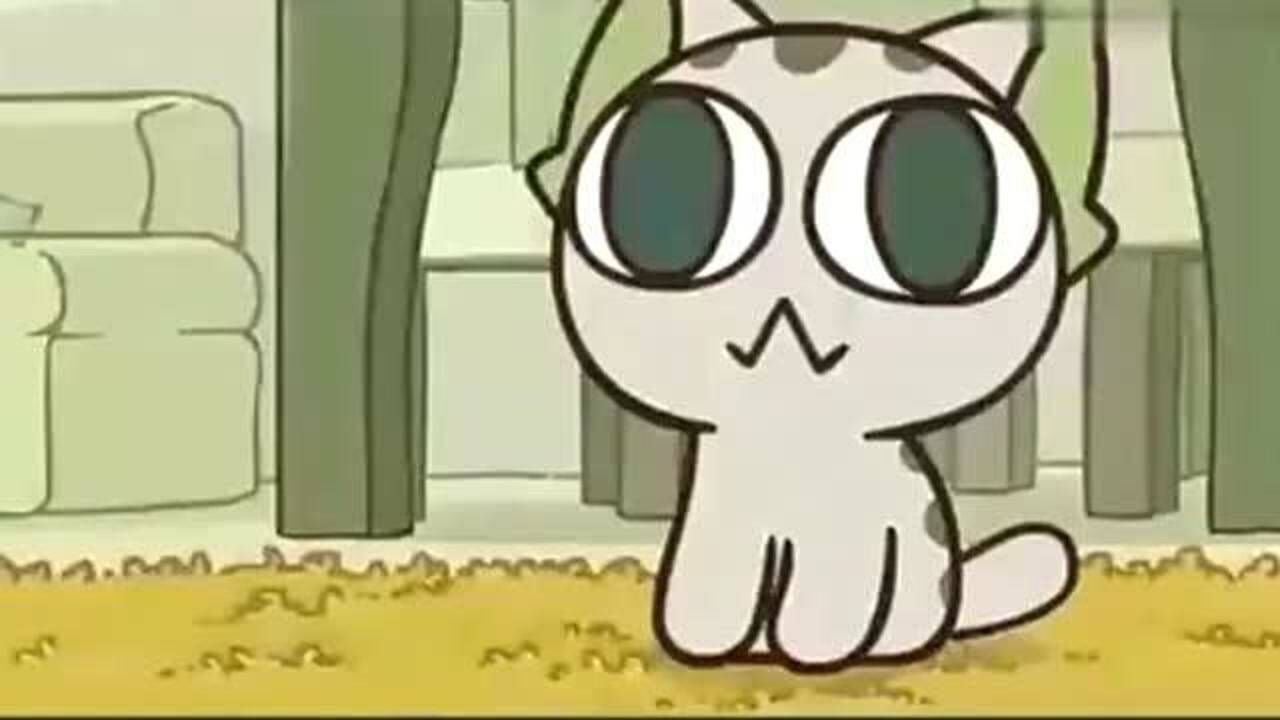 罗小黑战记:小白带小黑去漫展,可怜的皇受只能在家跟比丢捉迷藏