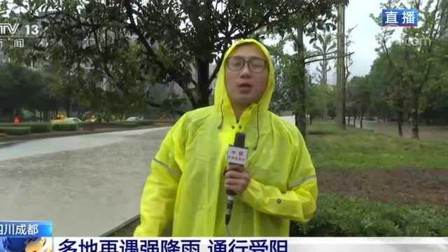 民情热线丨网友吐槽成都天府大道年年被淹 回复:将进行管网整治