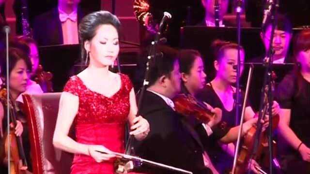 二胡协奏曲《红梅随想曲》,张音悦演奏,优美动听