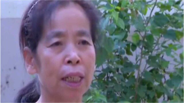 二十七年前儿子失踪,凶手竟是自家亲戚!夫妻二人从未放弃寻找