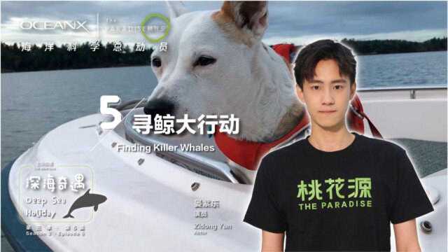 第三季第5集 寻鲸大行动